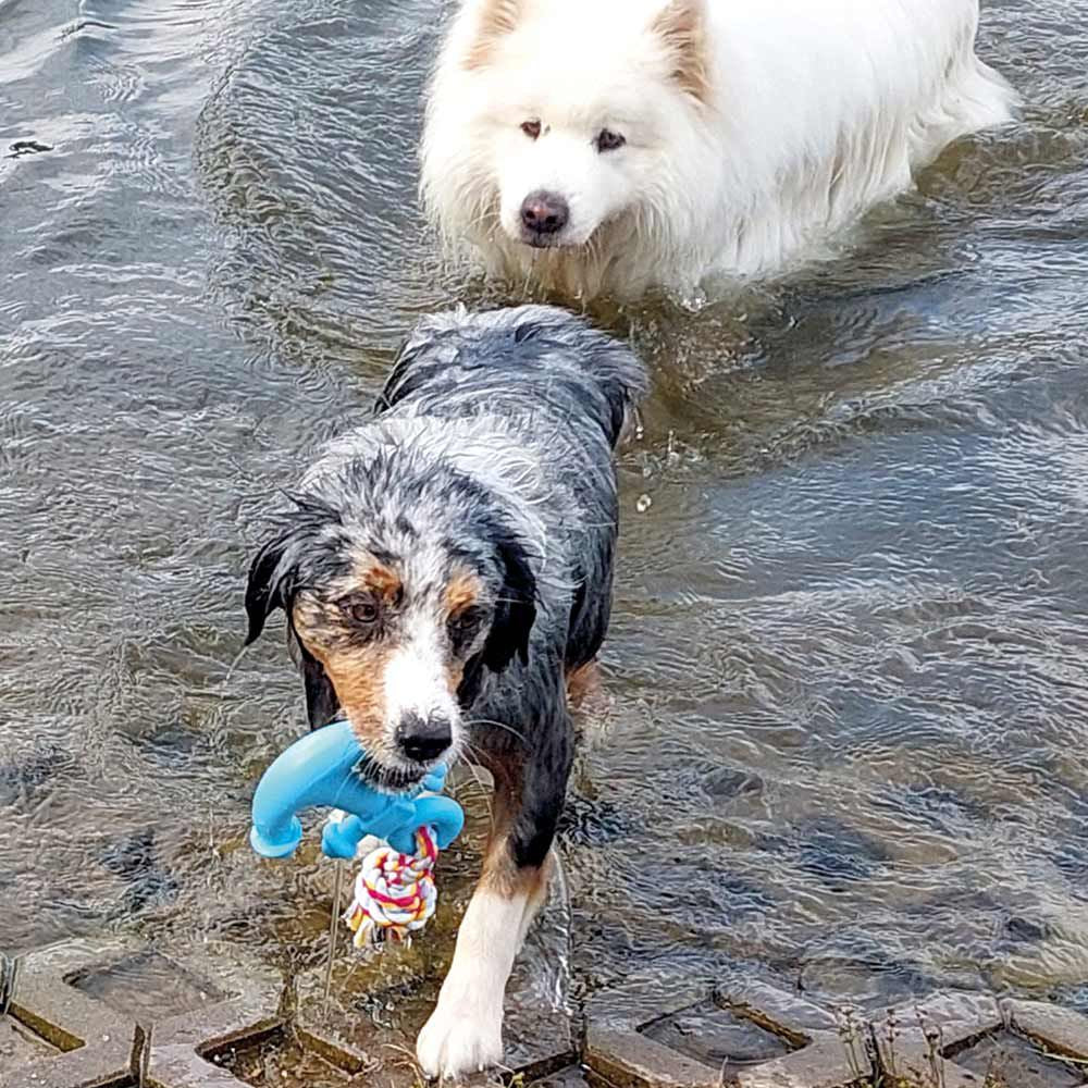 Nobby TPR Wasserspielzeug FLOATING - Anker mit Seil - Apportierspielzeug