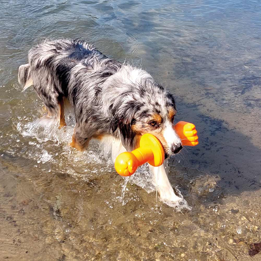 Nobby TPR Wasserspielzeug FLOATING - Boje Robby - Apportierspielzeug