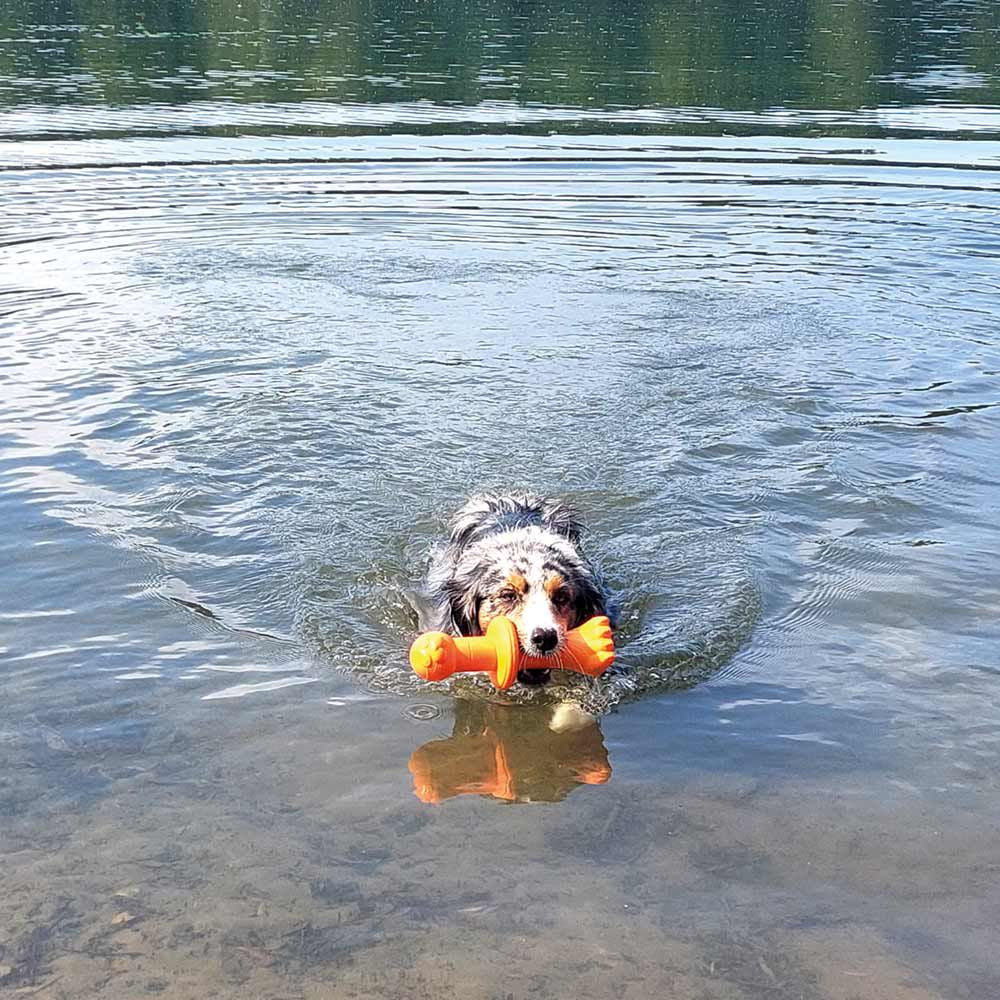 Nobby TPR Wasserspielzeug FLOATING - Boje Robby - Apportierspielzeug