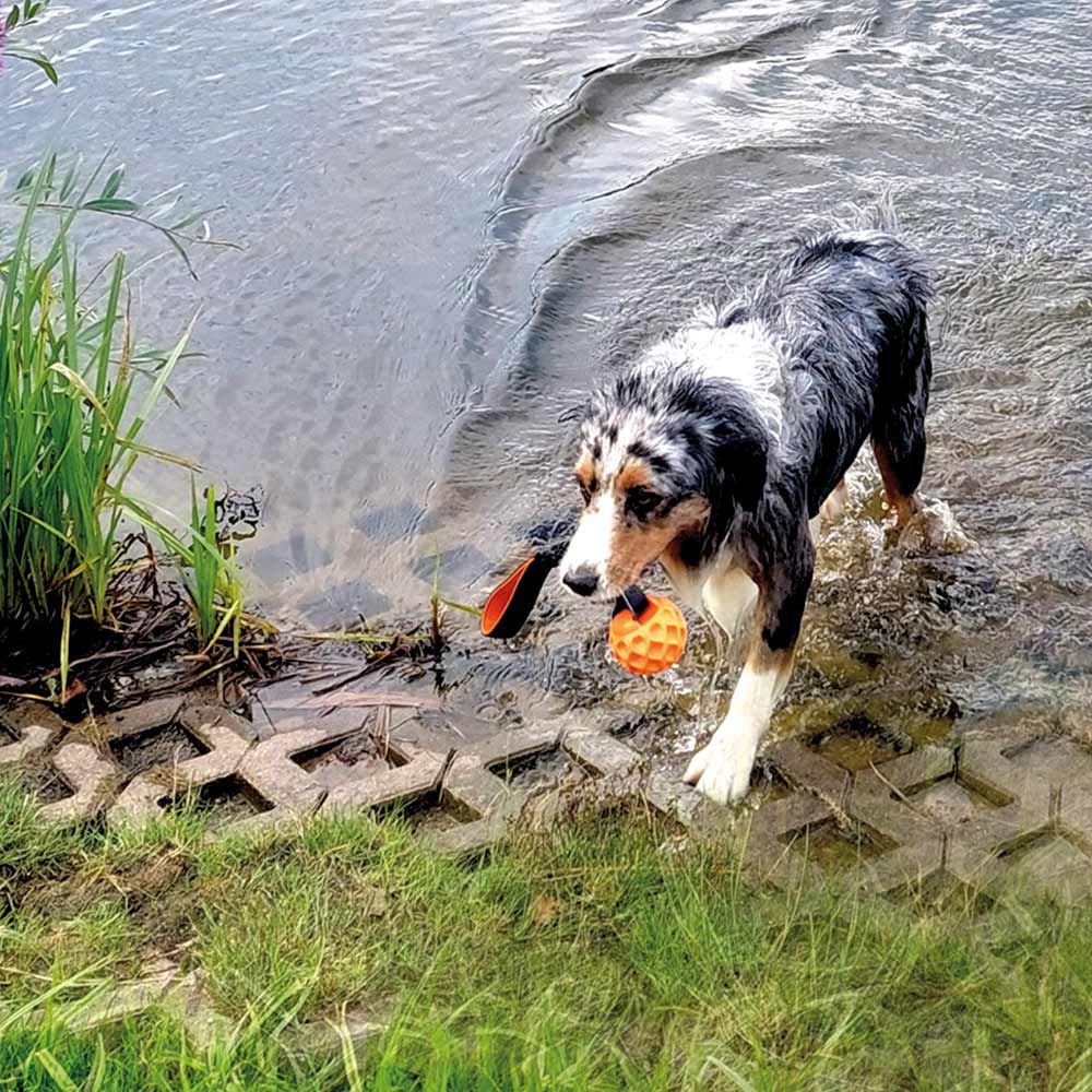 Nobby TPR Wasserspielzeug FLOATING - Ball mit Wurfschlaufe - Apportierspielzeug