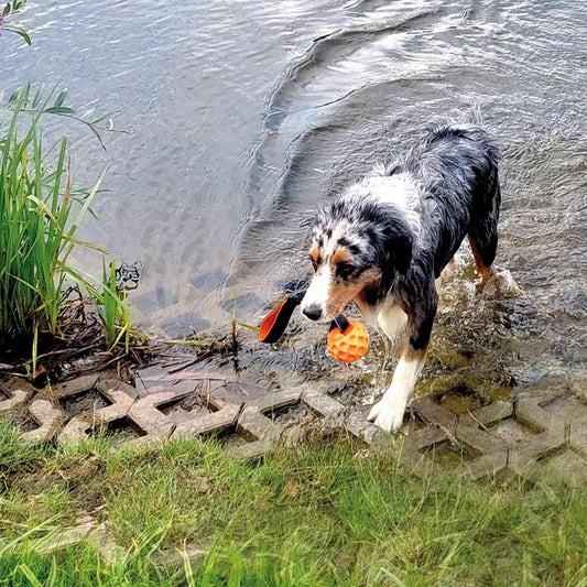 Nobby TPR Wasserspielzeug FLOATING - Ball mit Wurfschlaufe - Apportierspielzeug