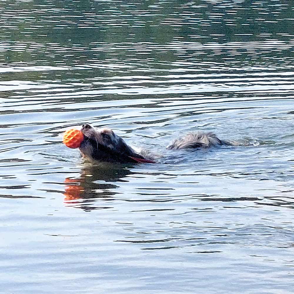 Nobby TPR Wasserspielzeug FLOATING - Ball mit Wurfschlaufe - Apportierspielzeug