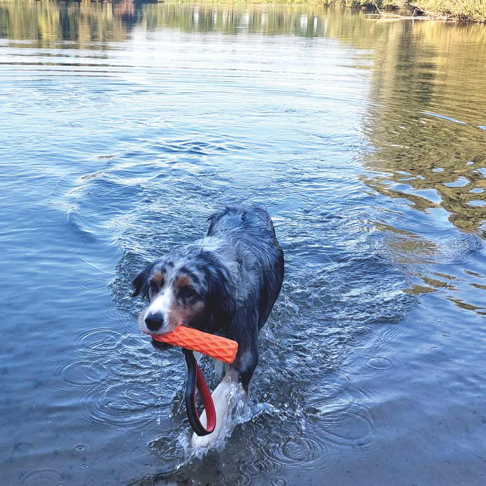 Nobby TPR Wasserspielzeug FLOATING - Stick mit Wurfschlaufe - Apportierspielzeug