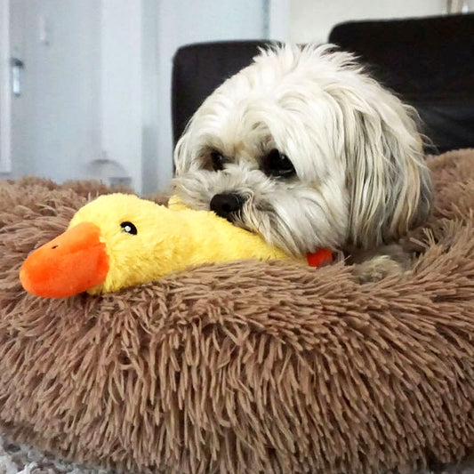 Nobby Plüsch-Hundespielzeug Ente EMMY - 25 cm - Ostern Plüschspielzeug