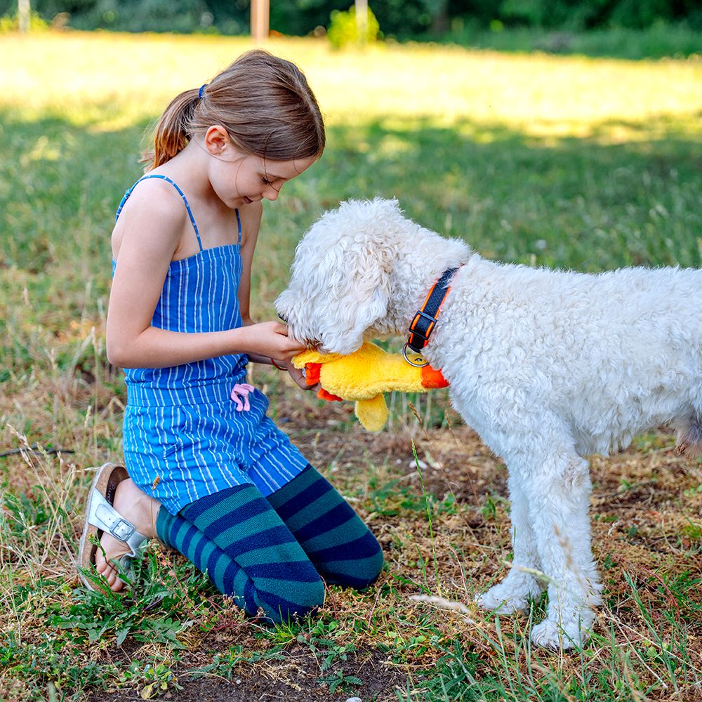 Nobby Plüsch-Hundespielzeug Ente EMMY - 25 cm - Ostern Plüschspielzeug
