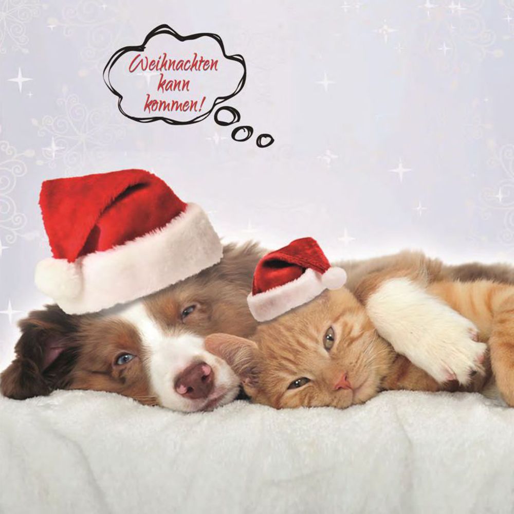 Nobby XMAS Silikon-Leckmatte FLAKE - Hund Katze - Schleckmatte Anti-Schlingmatte