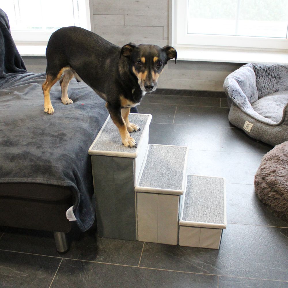 Nobby Hundetreppe SCADA - 44 cm hoch - Tiertreppe für Hunde und Katzen bis 50 kg