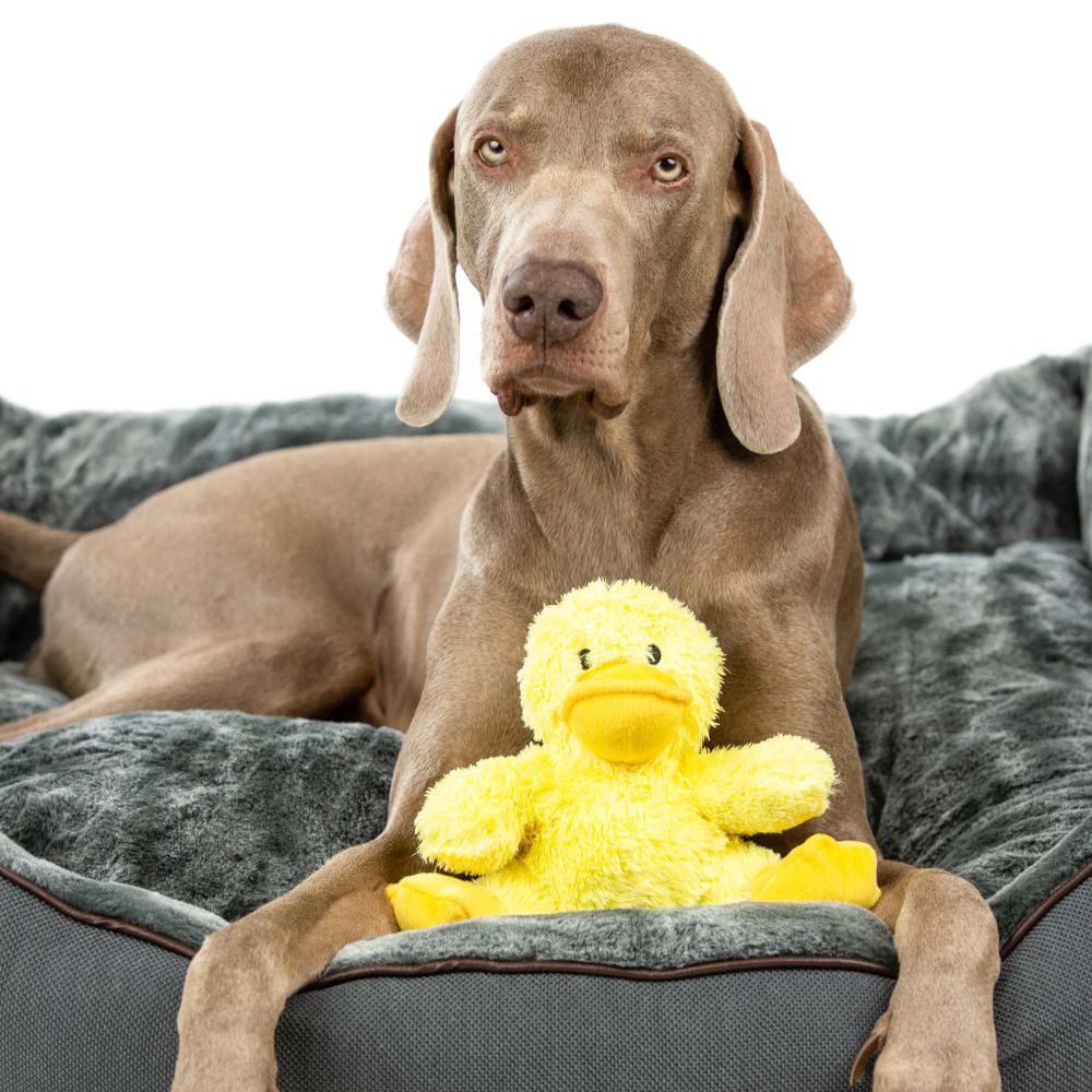 Nobby Plüsch-Hundespielzeug Ente DAGGI - 20 cm Plüschtier Kuscheltier Hund
