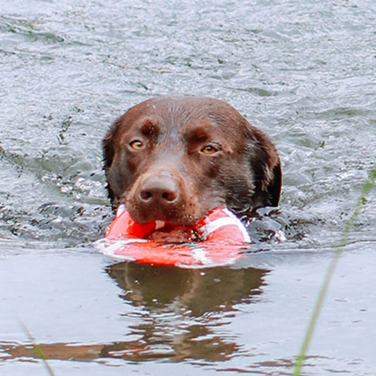 Nobby Wasserspielzeug FLOATING - TPR Rettungsring mit Seil - Apportierspielzeug