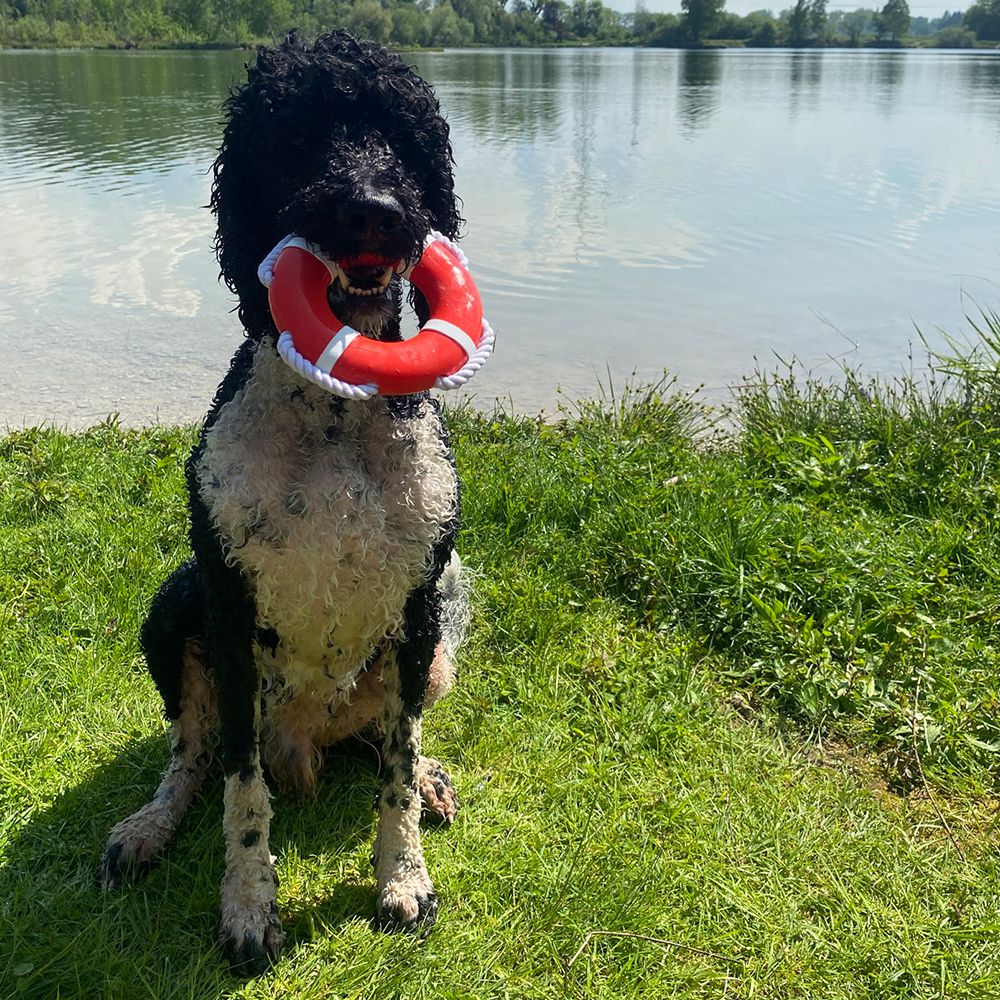 Nobby Wasserspielzeug FLOATING - TPR Rettungsring mit Seil - Apportierspielzeug