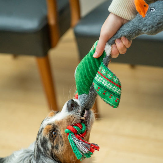 Nobby XMAS Plüsch Weihnachtsgans 48 cm - Hundespielzeug mit Schnatterstimme
