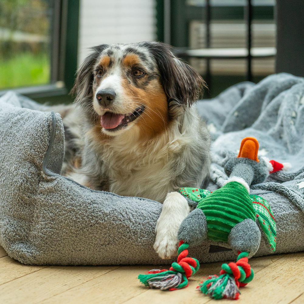 Nobby XMAS Plüsch Weihnachtsgans 48 cm - Hundespielzeug mit Schnatterstimme