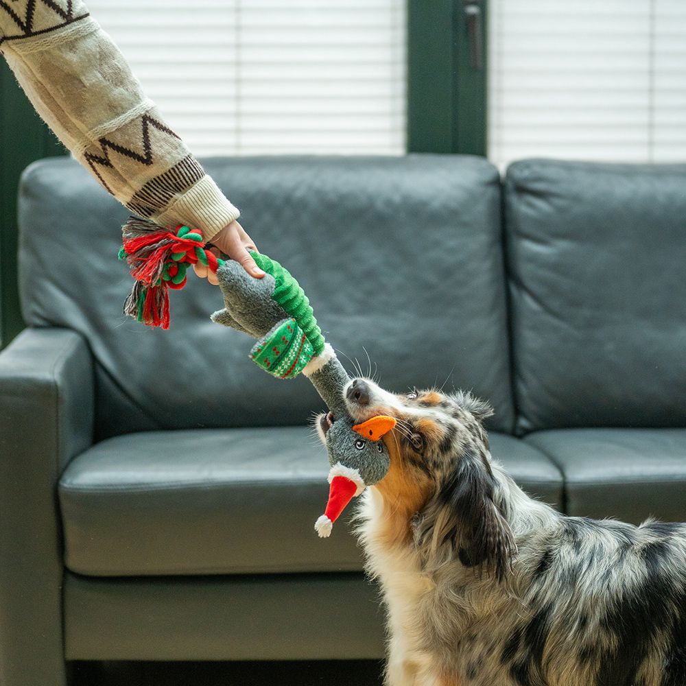 Nobby XMAS Plüsch Weihnachtsgans 48 cm - Hundespielzeug mit Schnatterstimme