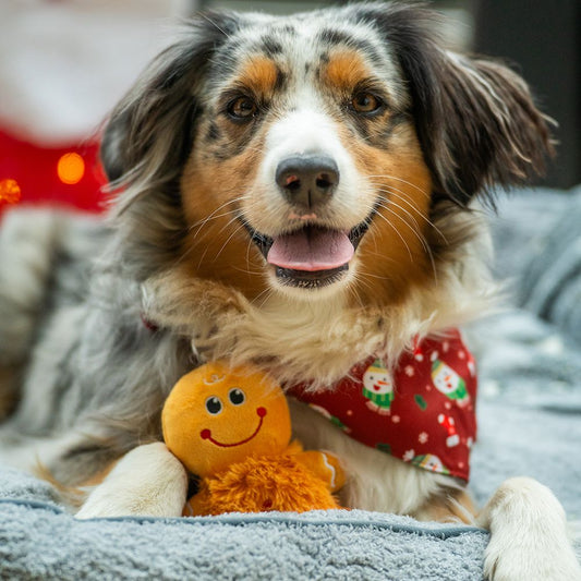 Nobby XMAS Plüsch Hundespielzeug - Weihnachtsmann Elch Schneemann Lebkuchenmann