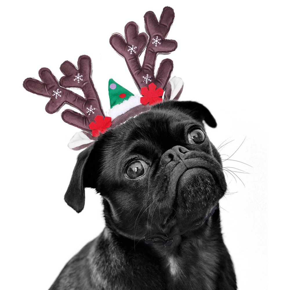 Nobby XMAS Rentiergeweih für Hunde - Ø 15 cm - Kopfreif mit Geweih - Kopfschmuck