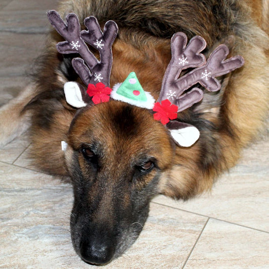 Nobby XMAS Rentiergeweih für Hunde - Ø 15 cm - Kopfreif mit Geweih - Kopfschmuck