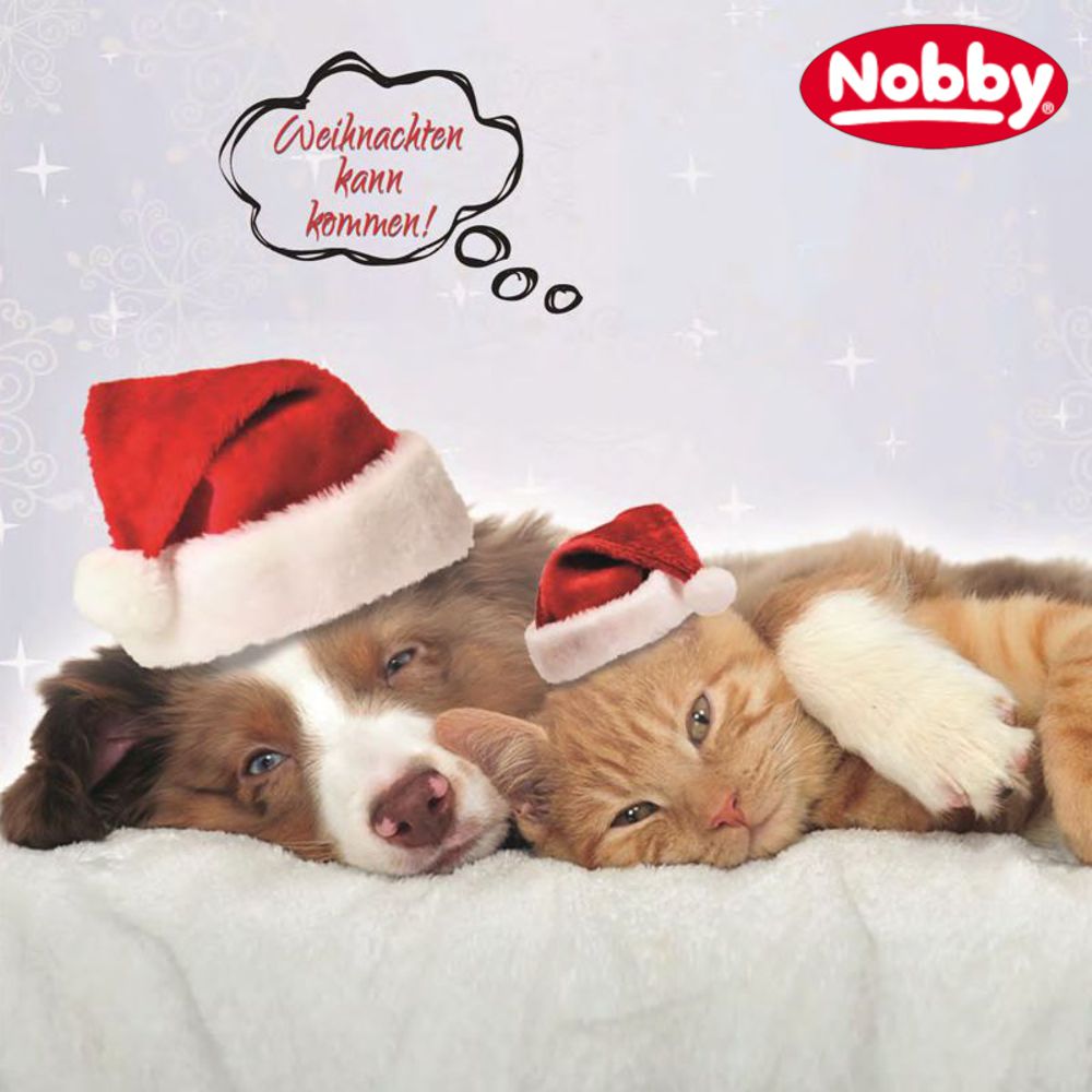 Nobby Starsnack Christmas-Mix maxi - Fisch/Fleisch/Getreide Leckerli weich 500g