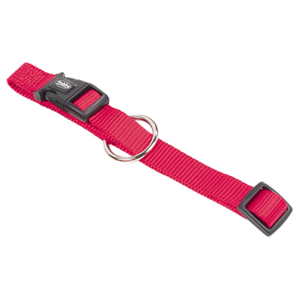 Nobby Halsband CLASSIC XXS/XS-S/S-M/M-L/L-XL alle Farben - Nylon Hundehalsband