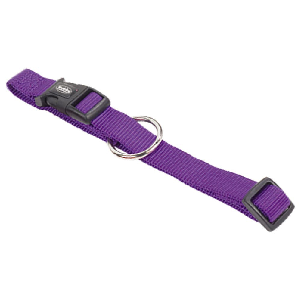 Nobby Halsband CLASSIC XXS/XS-S/S-M/M-L/L-XL alle Farben - Nylon Hundehalsband