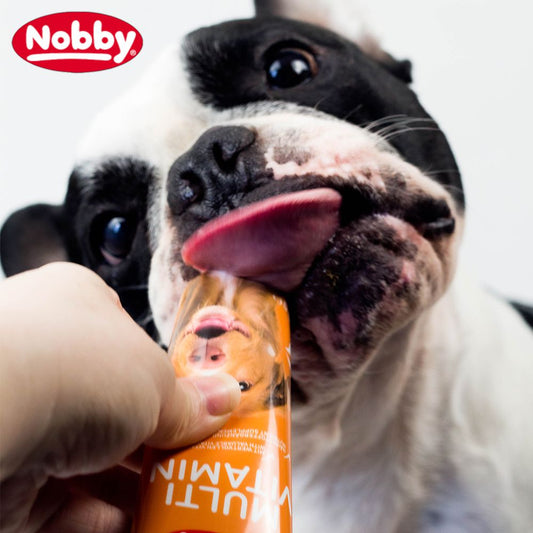 Nobby Multi Vitamin Paste - Multivitamin für Hunde und Senior-Hunde