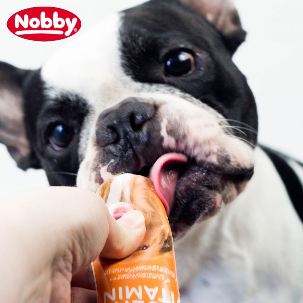 Nobby Multi Vitamin Paste - Multivitamin für Hunde und Senior-Hunde