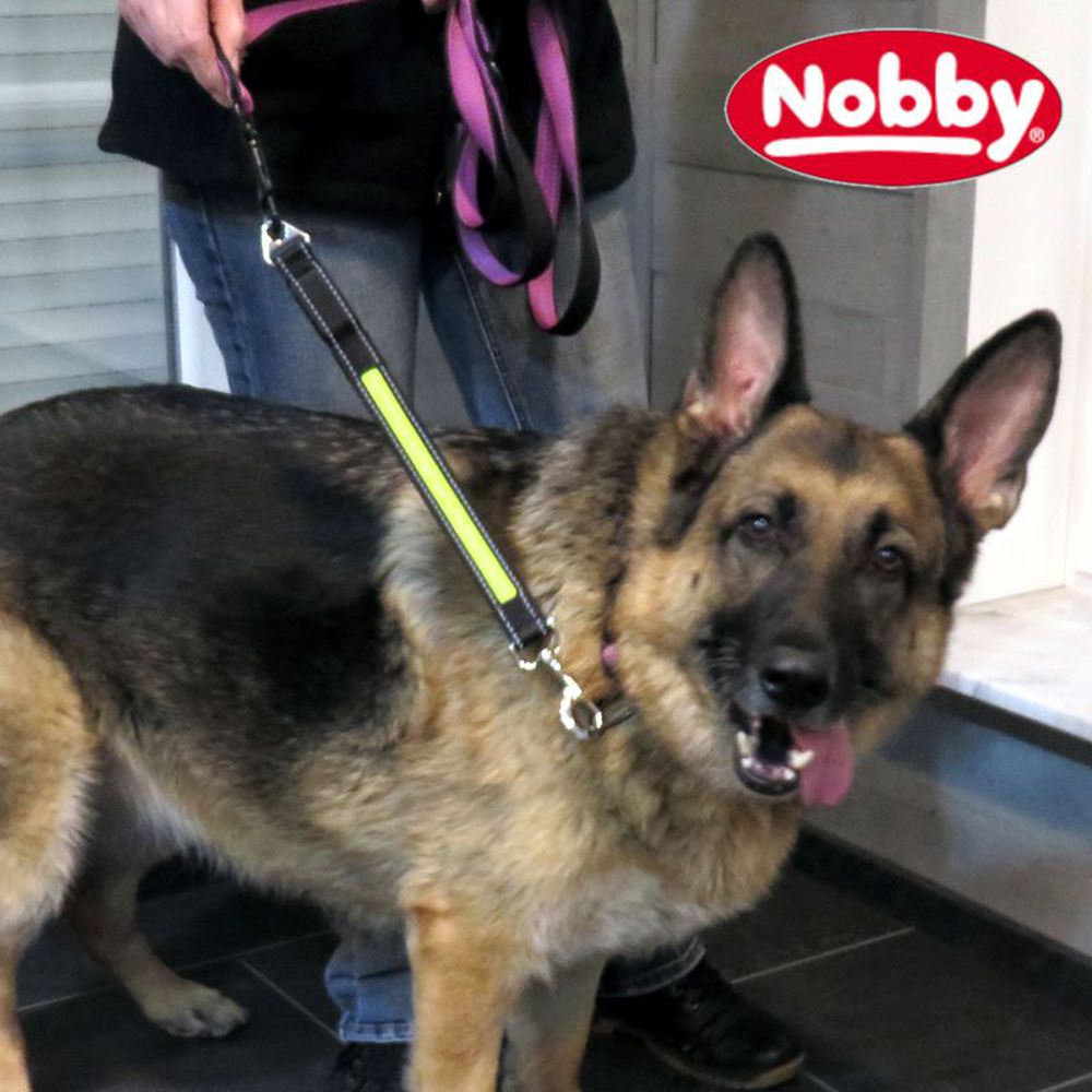 Nobby LED Leinenverlängerung STARLIGHT FLASH - Leuchtleine Gurt Belt Hundeleine