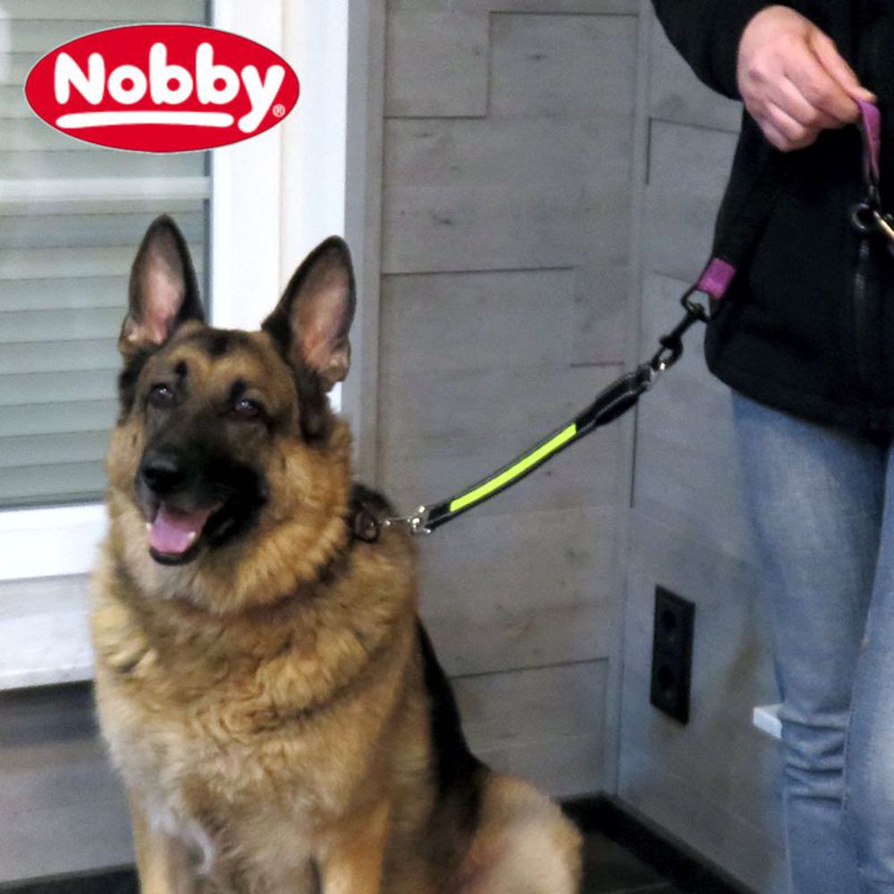 Nobby LED Leinenverlängerung STARLIGHT FLASH - Leuchtleine Gurt Belt Hundeleine