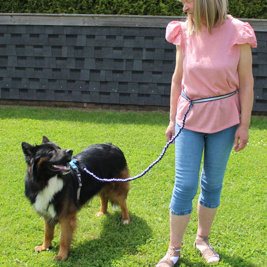 Nobby Joggingleine ELASTIC mit Hüftgurt - Walkingleine Sportleine elastisch