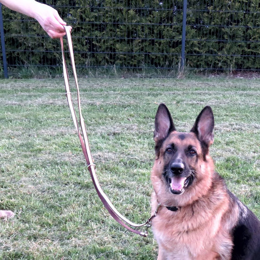 Nobby Führleine CLASSIC SOFT - beige/braun - 200 cm - 25 mm - Nylon Hundeleine