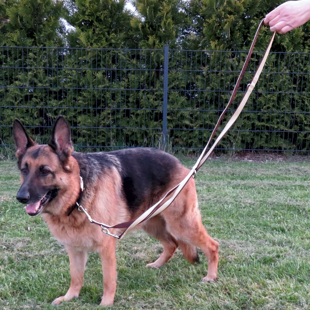 Nobby Führleine CLASSIC SOFT - beige/braun - 200 cm - 25 mm - Nylon Hundeleine