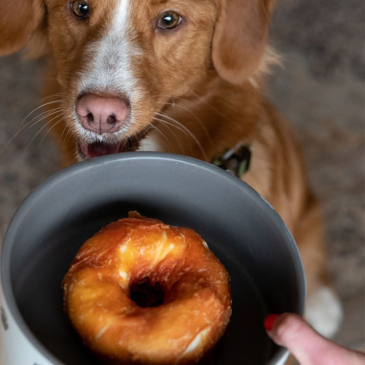 Nobby Rinderhaut Kauring Chicken Donut - S/L - Hähnchen Hundesnack Kausnack