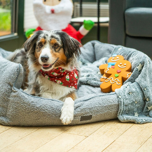 Nobby XMAS Latex Hundespielzeug LEBKUCHENMANN - quitscht + duftet - Weihnachten