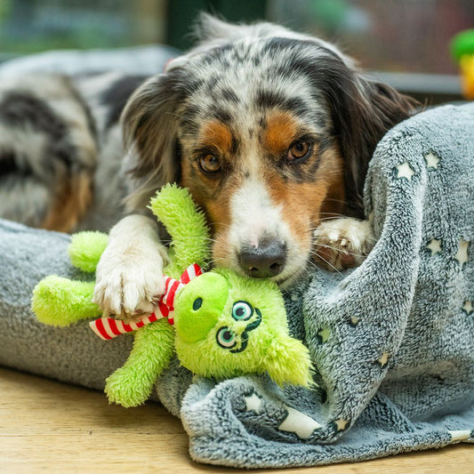 Nobby XMAS Plüsch Hundespielzeug GRIMO - S/M Plüschtier Kuscheltier Weihnachten