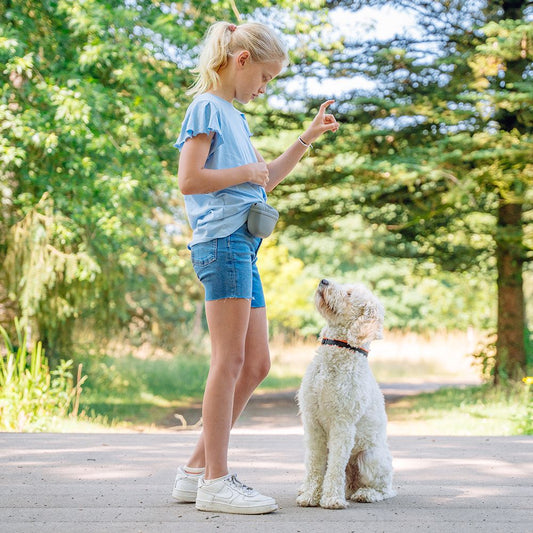 Nobby Silikon Snackbeutel RIO - Futterbeutel Leckerlibeutel Snacktasche mit Clip