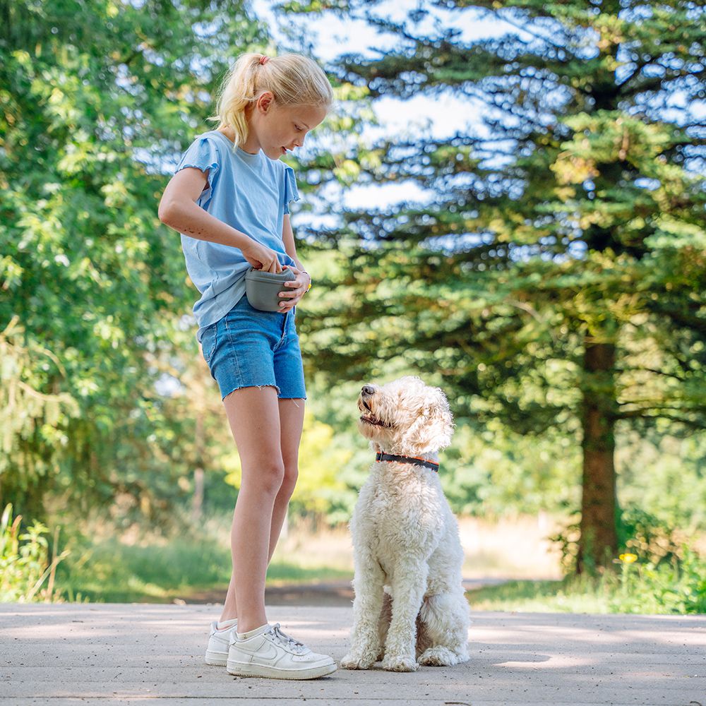 Nobby Silikon Snackbeutel RIO - Futterbeutel Leckerlibeutel Snacktasche mit Clip