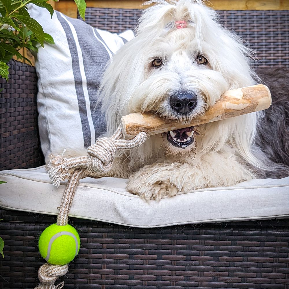 Nobby Kaffeeholz mit Hanfseil und Ball - S/M/L - Kauspielzeug Apportierspielzeug