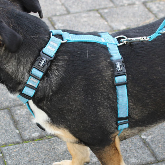 Nobby Geschirr FULL REFLECT XS-S/S-M/M-L/L-XL - reflektiert Nylon Hundegeschirr