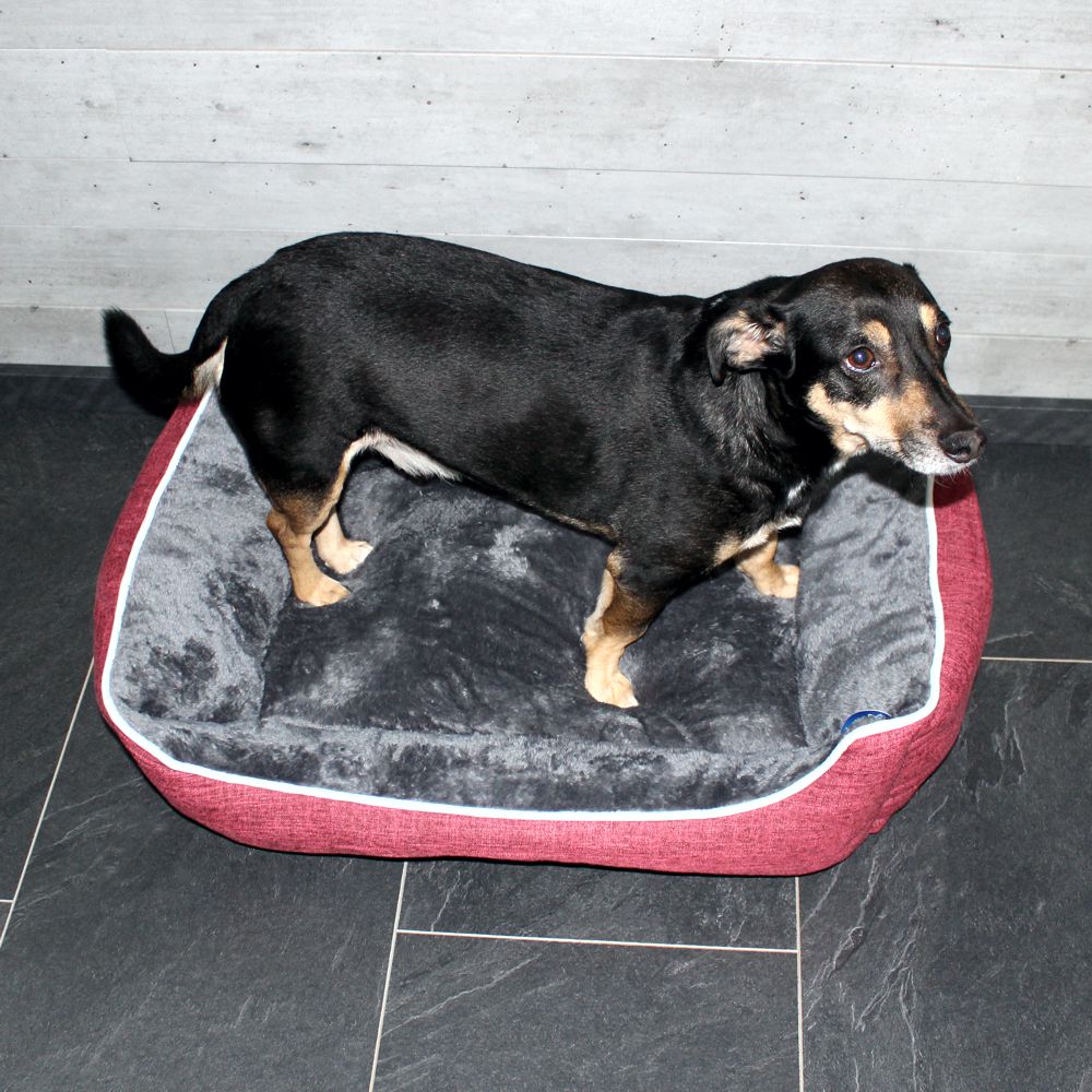 Nobby Classic Komfortbett ARNO - S/M/L - Schlafplatz Kissen Hundebett Katzenbett