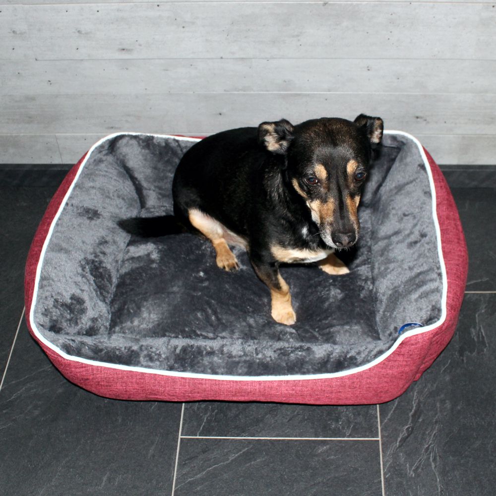 Nobby Classic Komfortbett ARNO - S/M/L - Schlafplatz Kissen Hundebett Katzenbett