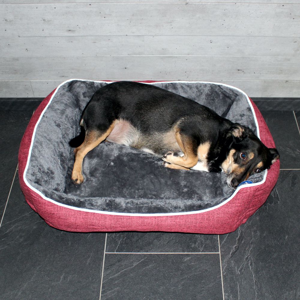 Nobby Classic Komfortbett ARNO - S/M/L - Schlafplatz Kissen Hundebett Katzenbett