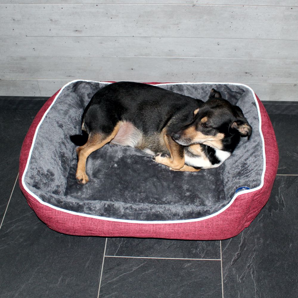 Nobby Classic Komfortbett ARNO - S/M/L - Schlafplatz Kissen Hundebett Katzenbett