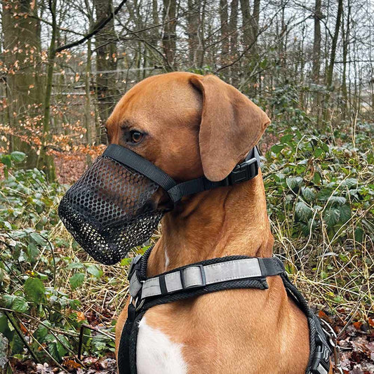 Nobby Giftköderschutz Leckschutz Hunde - Trinken/Hecheln/Schnüffeln ist möglich