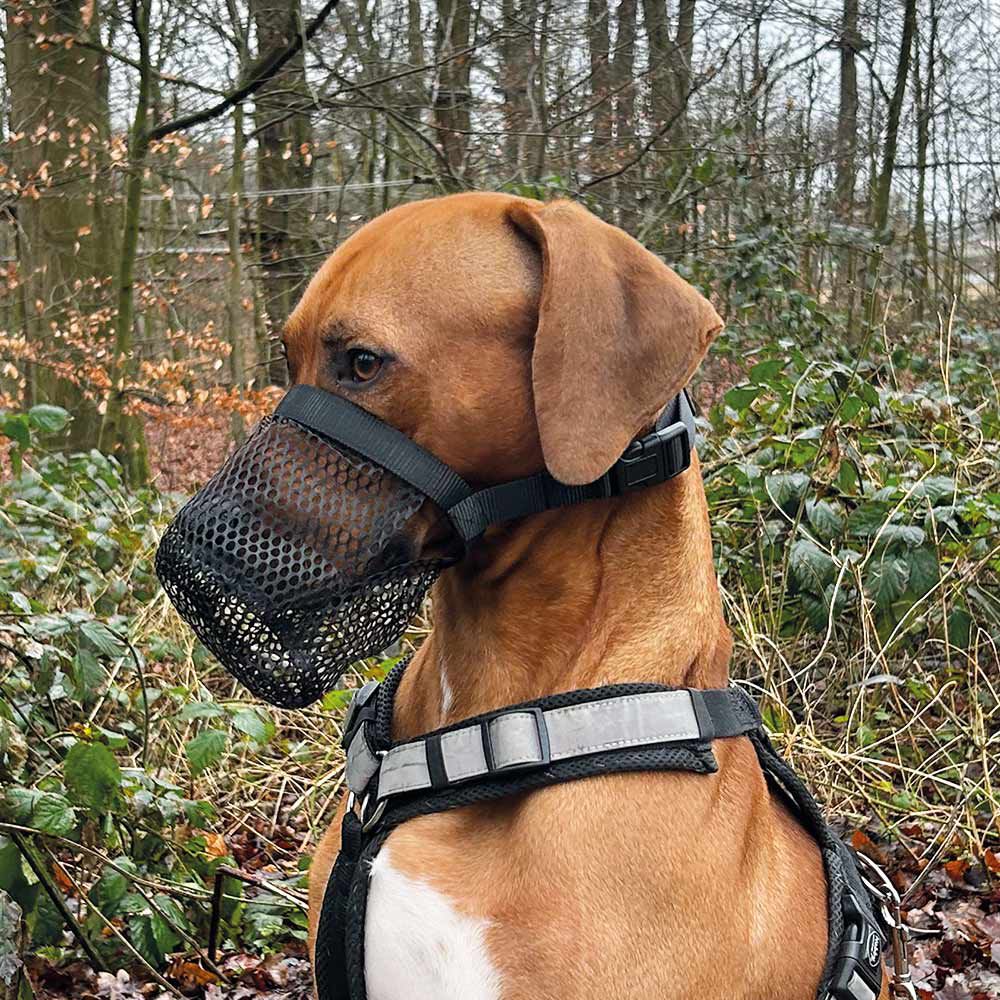 Nobby Giftköderschutz Leckschutz Hunde - Trinken/Hecheln/Schnüffeln ist möglich