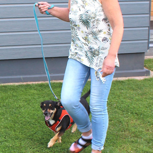 Nobby Leine MESH AIR 120 cm - 20/25/32 mm breit - Nylon Meshgewebe Hundeleine