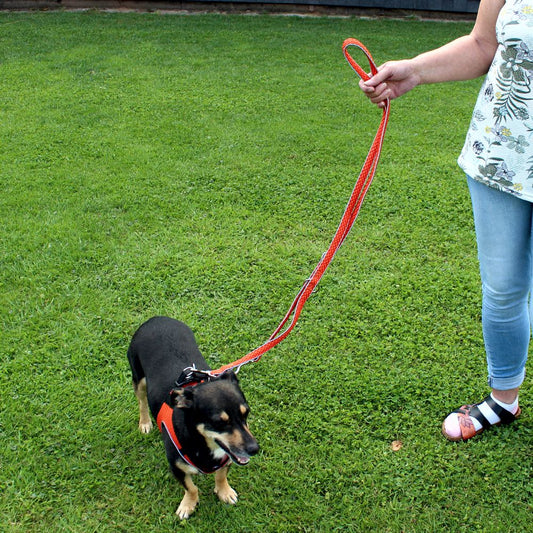 Nobby Führleine MESH AIR 200 cm - 20/25/32 mm breit Nylon Meshgewebe Hundeleine