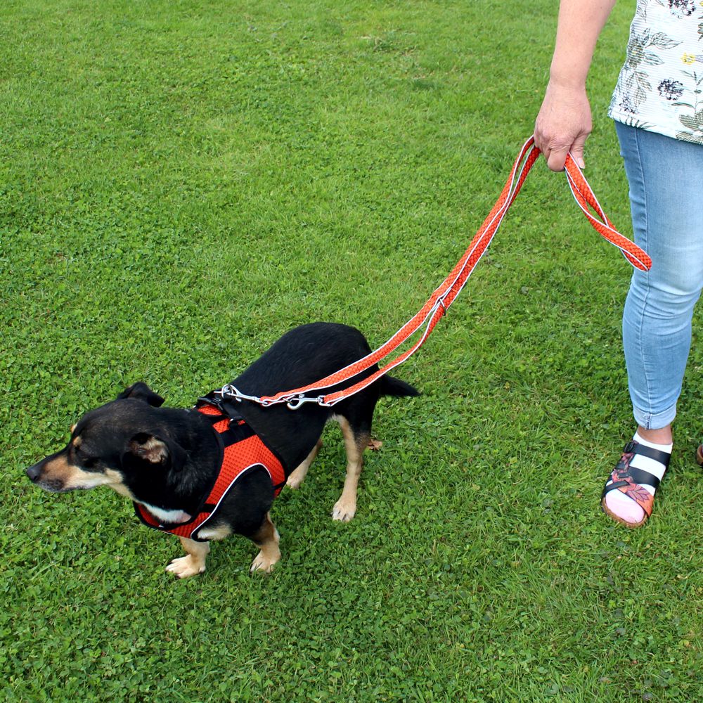 Nobby Führleine MESH AIR 200 cm - 20/25/32 mm breit Nylon Meshgewebe Hundeleine