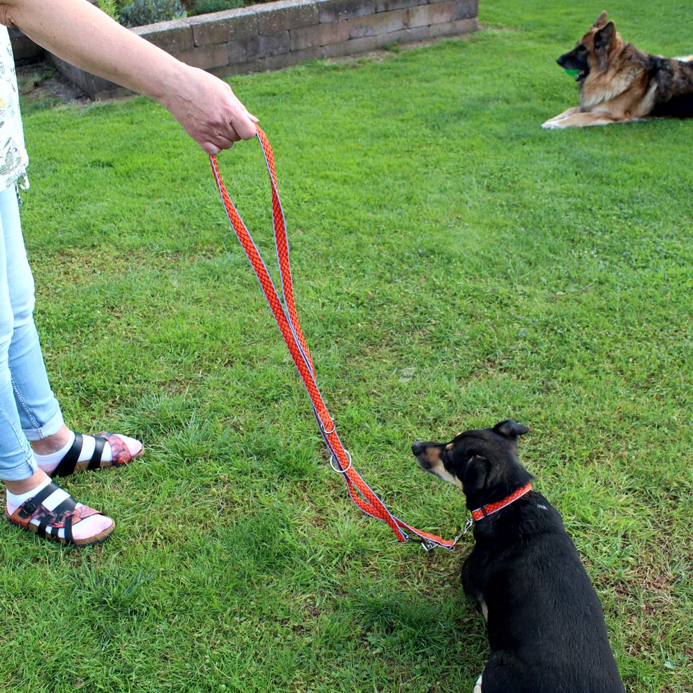 Nobby Führleine MESH AIR 200 cm - 20/25/32 mm breit Nylon Meshgewebe Hundeleine