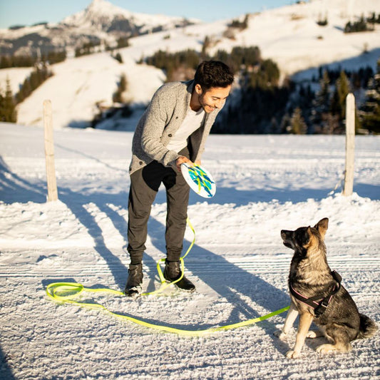 Nobby Vollgummi Hundespielzeug - Ball Ring Stick Wurfscheibe - Apportierspiel