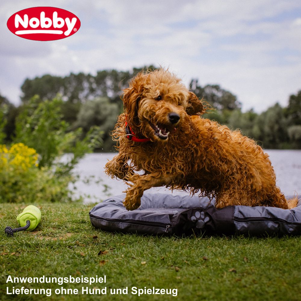 Nobby Hundekissen Classic RENO - oval - Schlafplatz Decke Komfortbett Hundebett