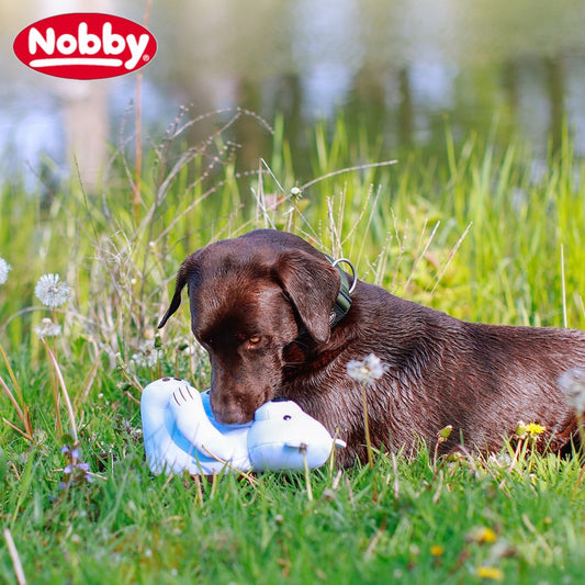 Nobby Wasserspielzeug FLOATING - schwimmt - Apportierspielzeug mit Quietscher